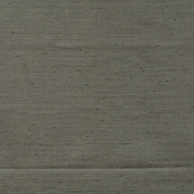 Eade's RMCoco-884593-sample Shark