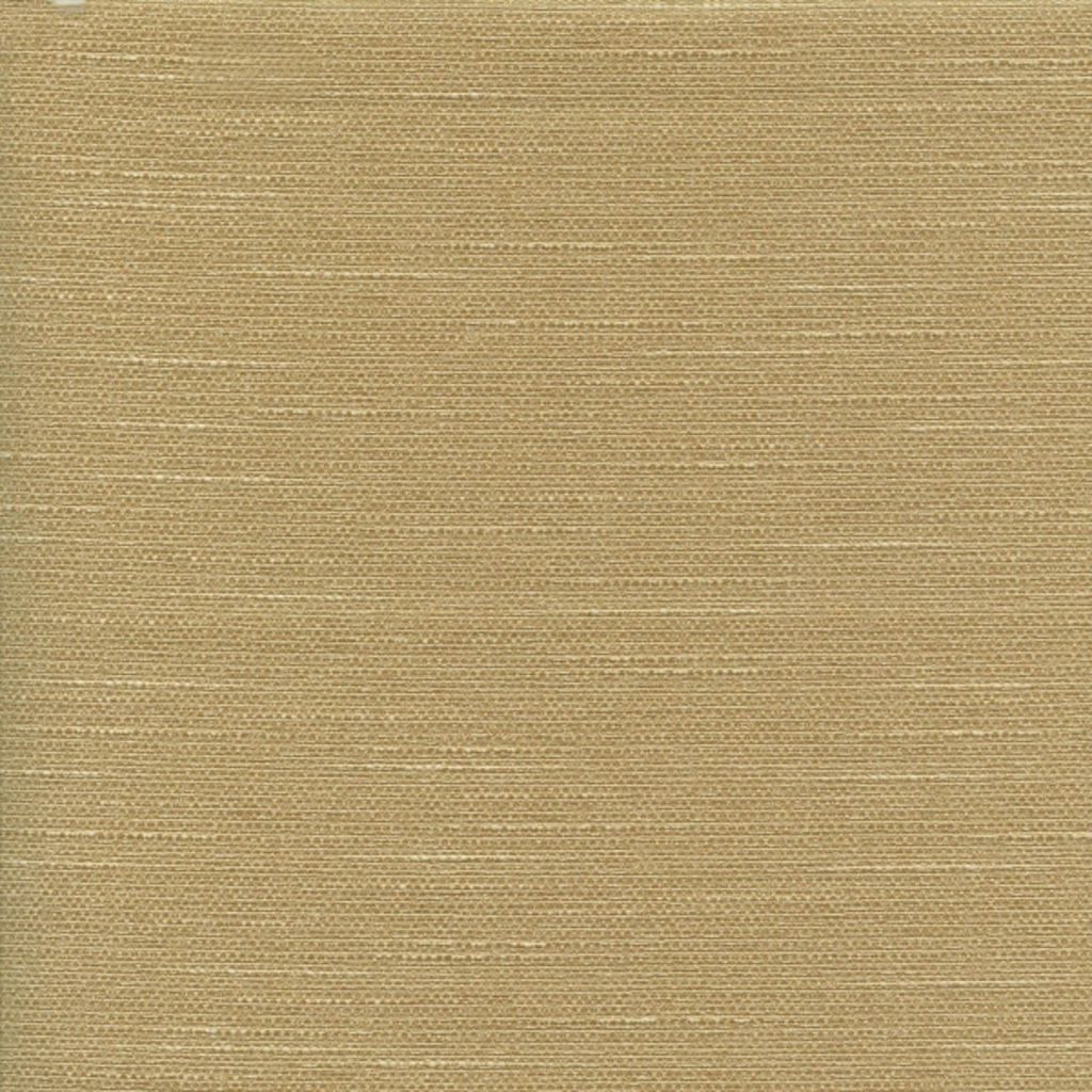 Eade's RMCoco-86511500-sample Jungle