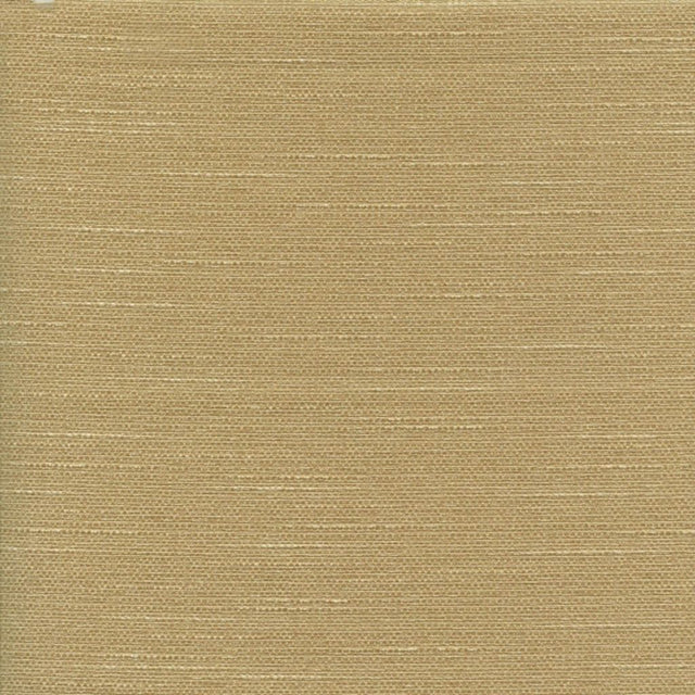 Eade's RMCoco-86511500-sample Jungle