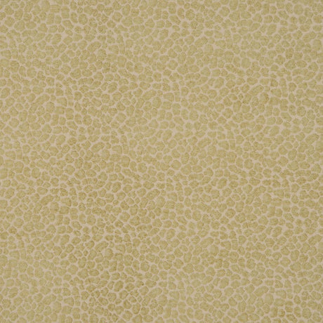 Eade's RMCoco-2099CB455-sample PARROT