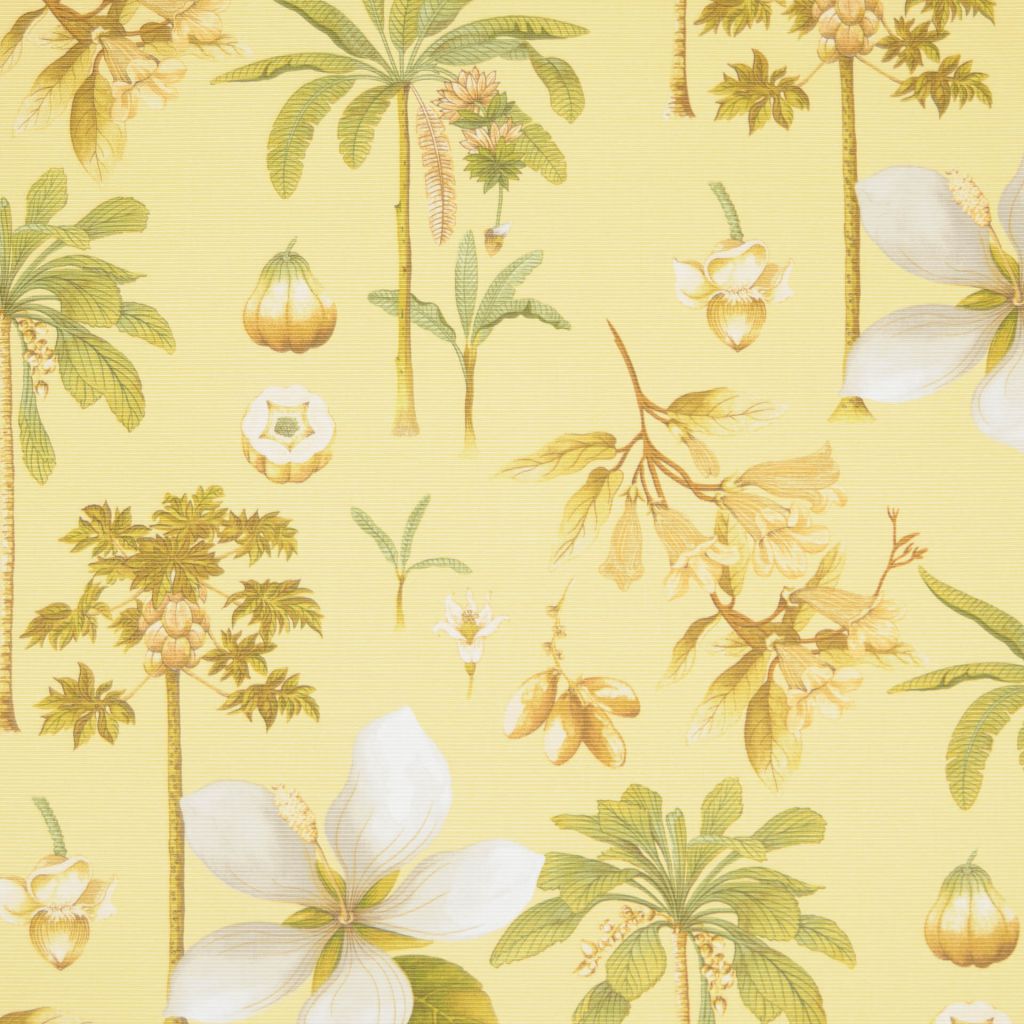 Eade's RMCoco-11878300-sample CORNSILK