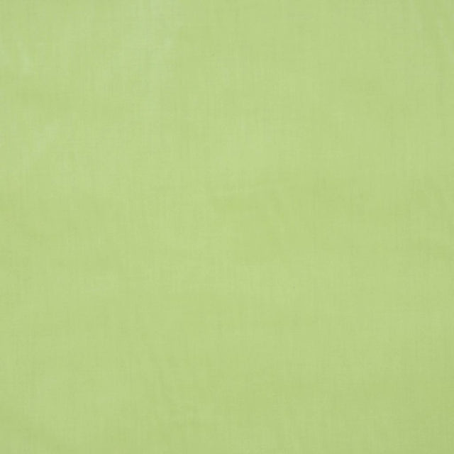 Eade's RMCoco-12465922-sample LETTUCE