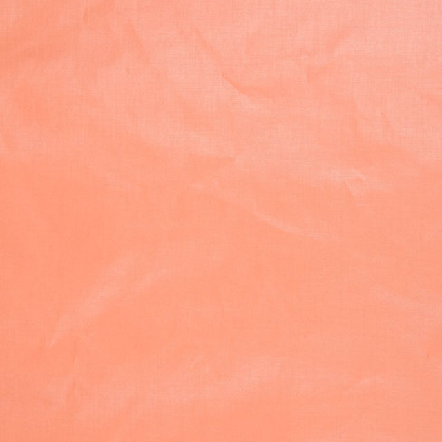 Eade's RMCoco-1246573-sample TANGELO