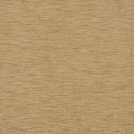 Eade's RMCoco-11948538-sample PRALINE