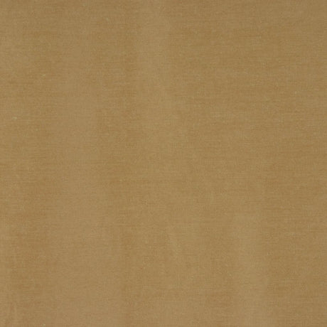 Eade's RMCoco-11764417-sample FERN