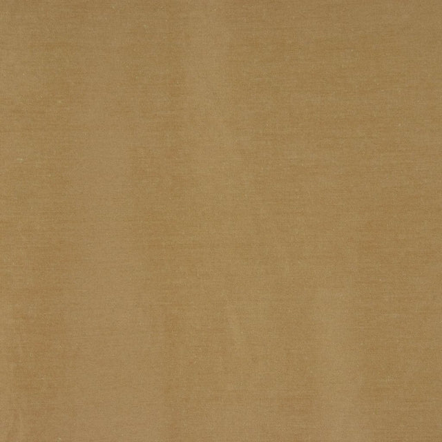Eade's RMCoco-11764417-sample FERN