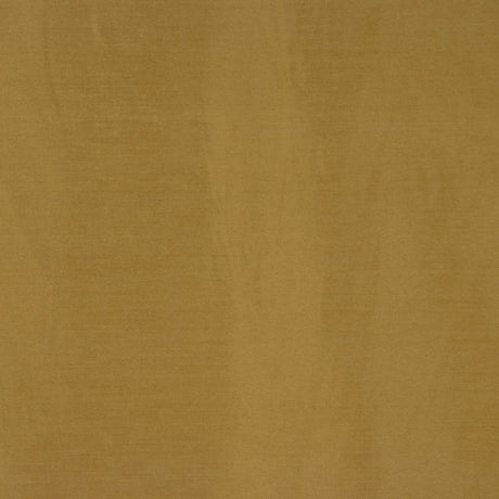 Eade's RMCoco-11764315-sample KIWI