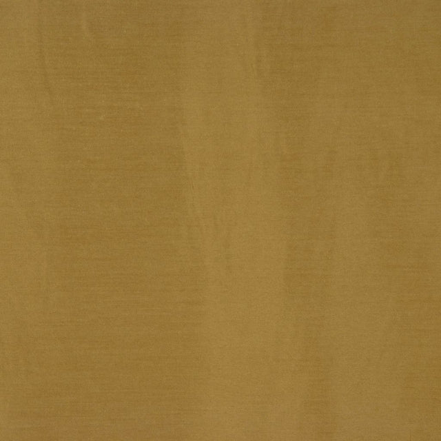 Eade's RMCoco-11764315-sample KIWI