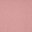 Eade's RMCoco-11760137-sample CARNATION