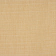RM Coco EVER PARCHMENT - Eade's