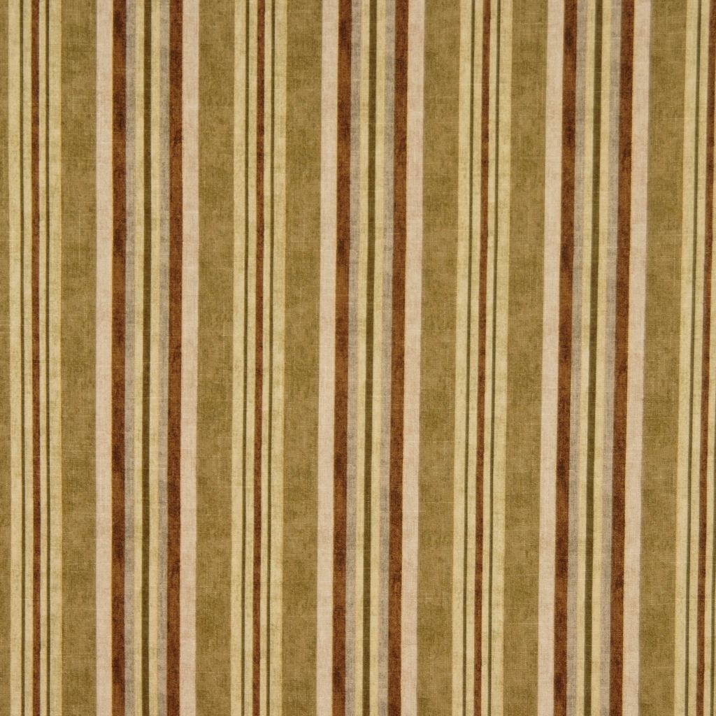 RM Coco FLYCATCHER OLIVE - Eade's