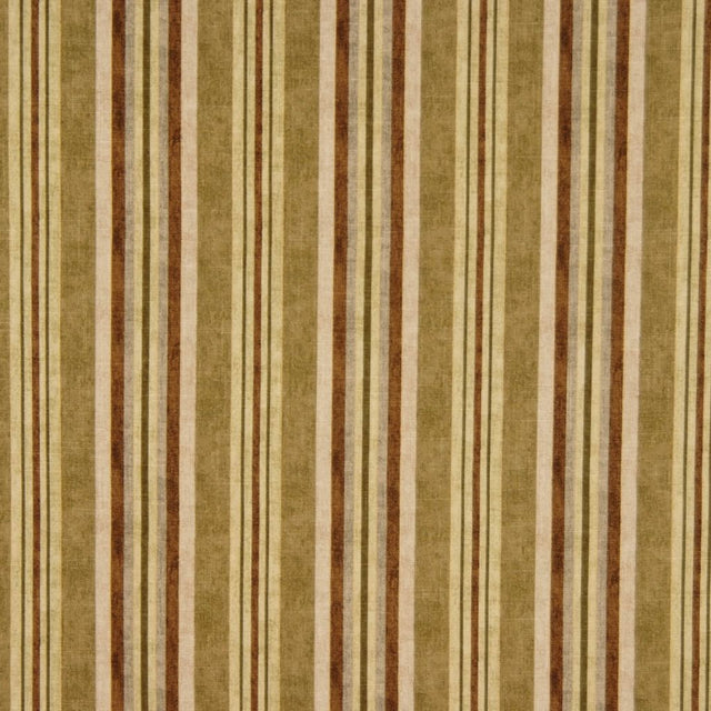 RM Coco FLYCATCHER OLIVE - Eade's