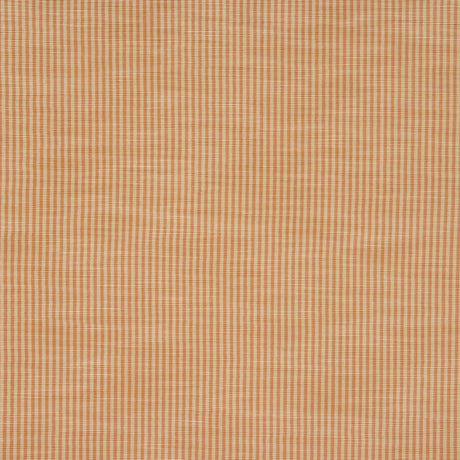RM Coco HAWK KUMQUAT - Eade's