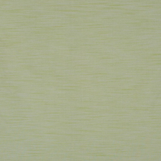 Eade's RMCoco-11765417-sample FERN