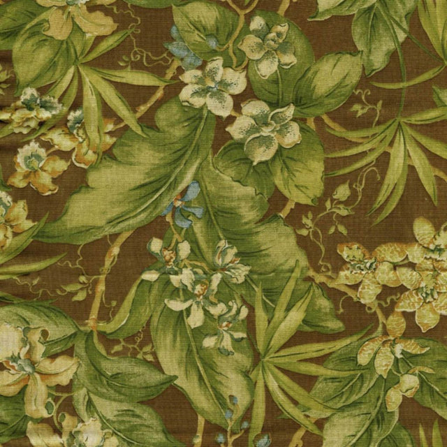 Eade's RMCoco-836435-sample Coffee Bean