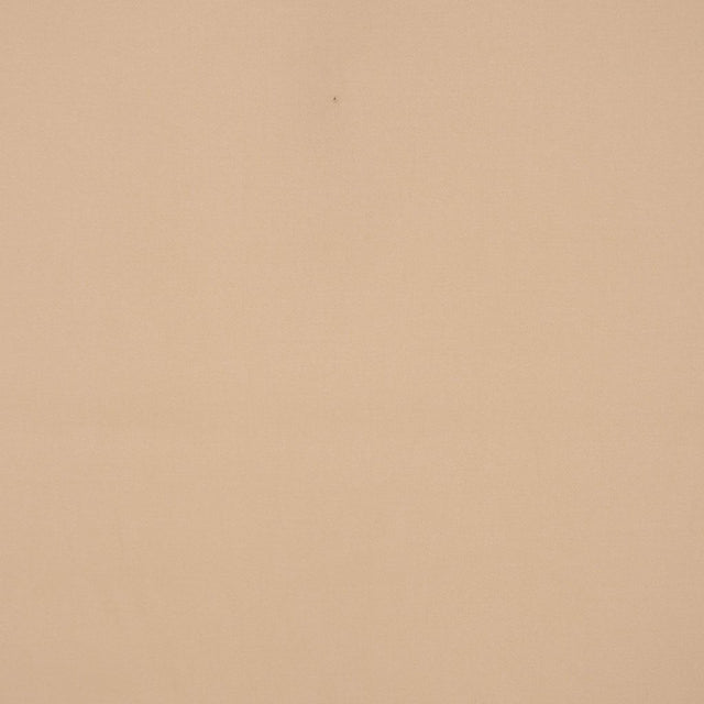 Eade's RMCoco-12413210-sample MUSHROOM