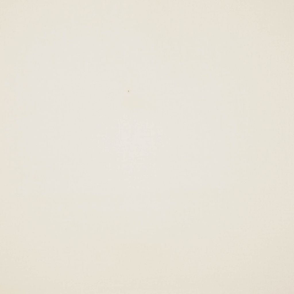 Eade's RMCoco-124136-sample PARCHMENT