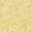 RM Coco TAJ MAHAL SUNSHINE - Eade's