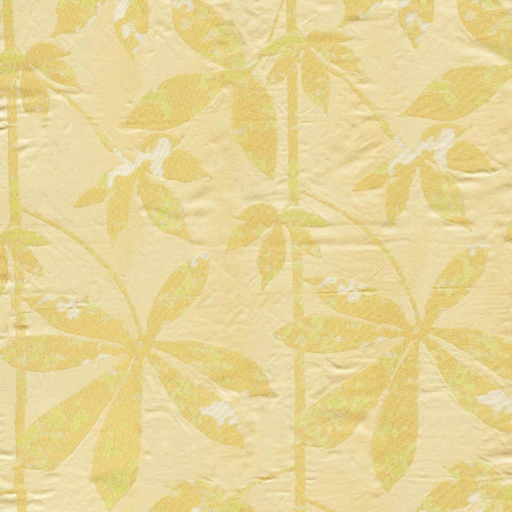 RM Coco TAJ MAHAL SUNSHINE - Eade's