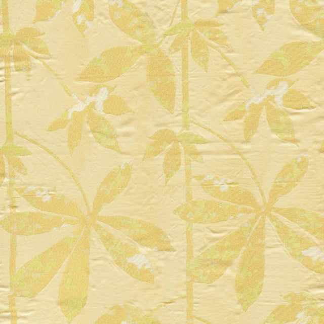 RM Coco TAJ MAHAL SUNSHINE - Eade's