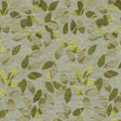 Eade's RMCoco-78371315-sample KIWI