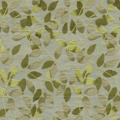 Eade's RMCoco-78371315-sample KIWI