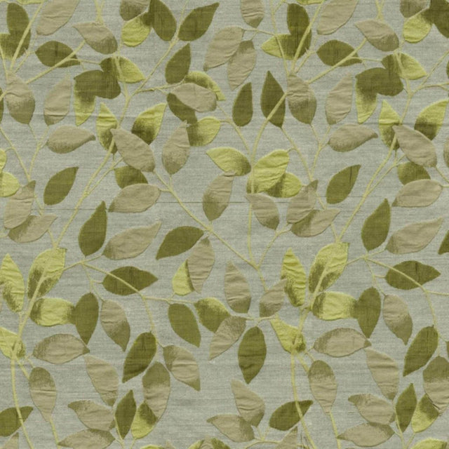 Eade's RMCoco-78371315-sample KIWI