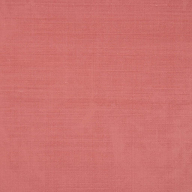 Eade's RMCoco-11584143-sample Carnation