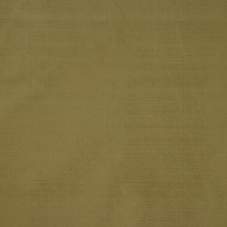 Eade's RMCoco-11584175-sample Forest