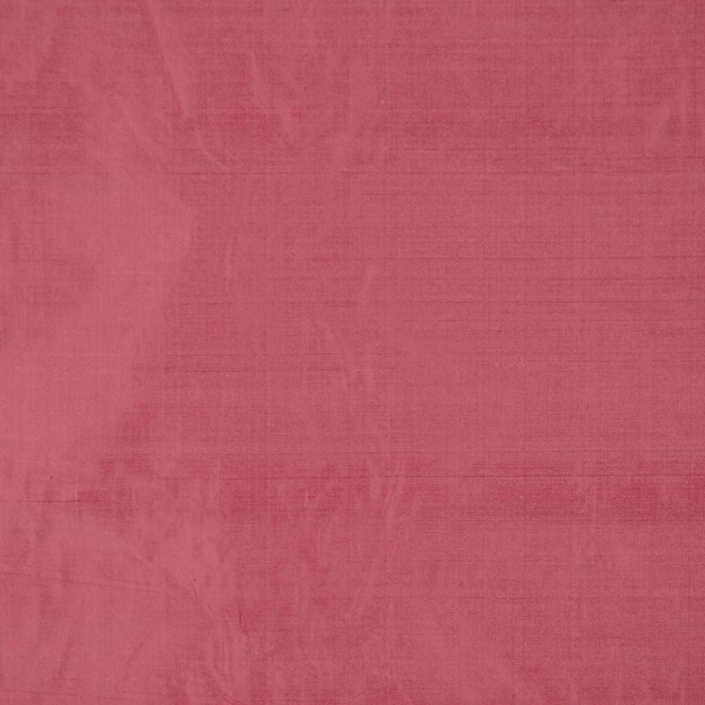 Eade's RMCoco-1158449-sample Rose