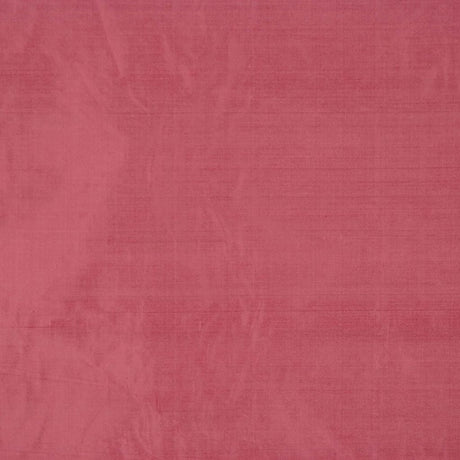 Eade's RMCoco-1158449-sample Rose