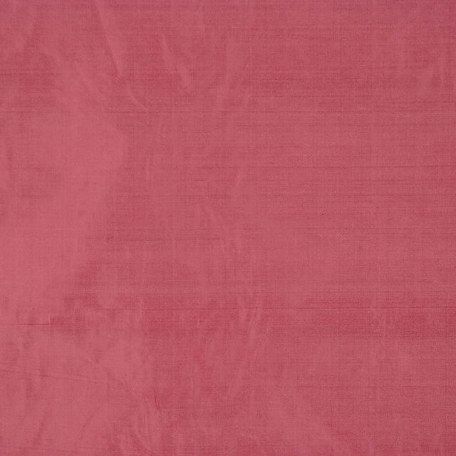 Eade's RMCoco-1158449-sample Rose