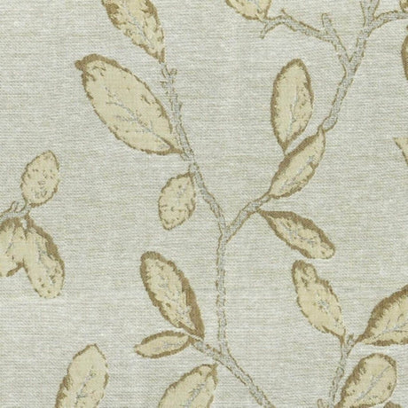 RM Coco UTOPIA GREY - Eade's