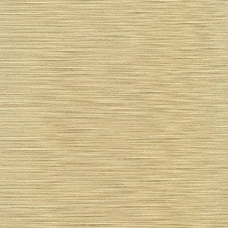 Eade's RMCoco-70511126-sample Bone