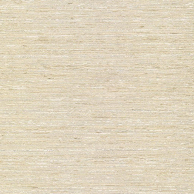 Eade's RMCoco-71258126-sample Bone