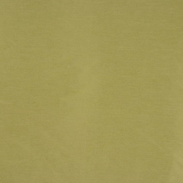 RM Coco GLEAM GRASS - Eade's