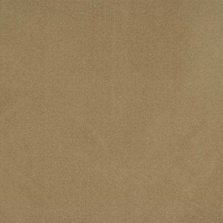 RM Coco GLEAM STONE - Eade's