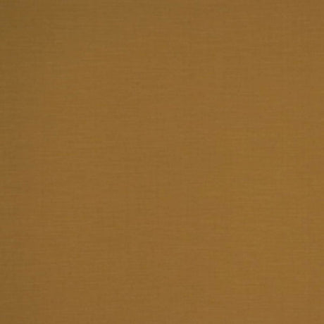 Eade's RMCoco-11079423-sample AVOCADO