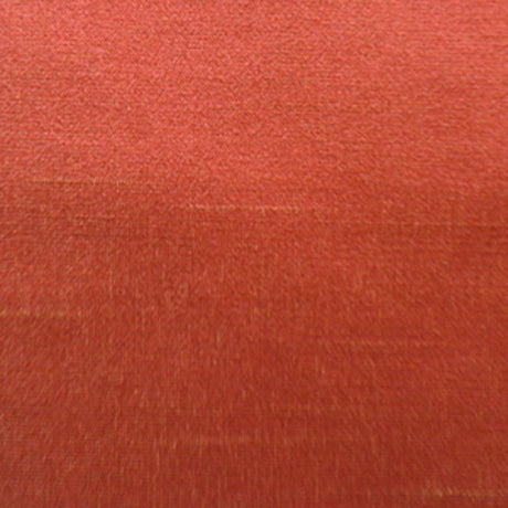 Eade's RMCoco-1166860-sample Ginger