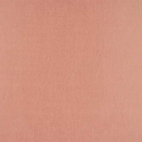 Eade's RMCoco-1112742-sample Coral