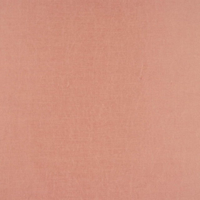 Eade's RMCoco-1112742-sample Coral