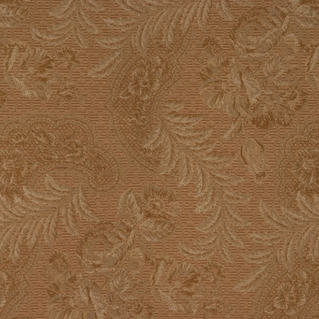 RM Coco RICHNESS MUSHROOM - Eade's