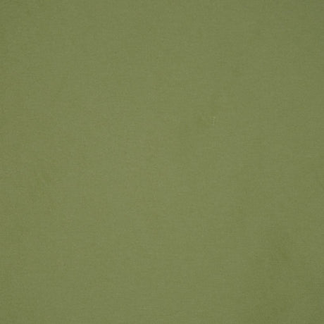 Eade's RMCoco-1113768-sample CACTUS