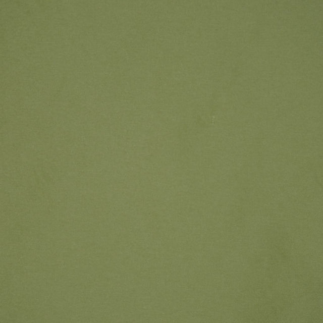 Eade's RMCoco-1113768-sample CACTUS