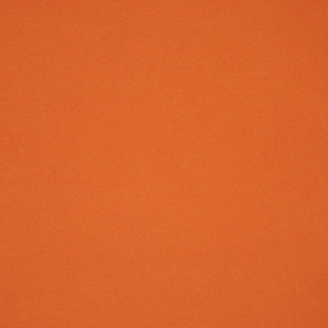 Eade's RMCoco-1113757-sample CHILI