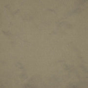 Eade's RMCoco-1113713-sample SHINING