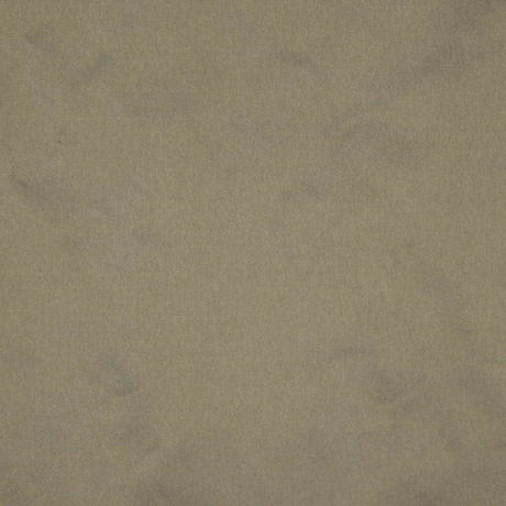 Eade's RMCoco-1113713-sample SHINING