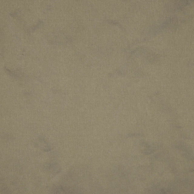 Eade's RMCoco-1113713-sample SHINING