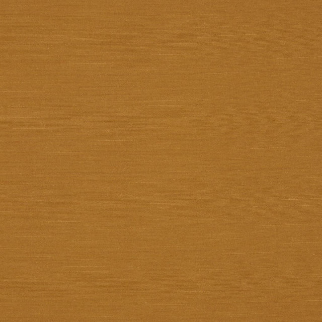 RM Coco HYBRID NUTMEG - Eade's
