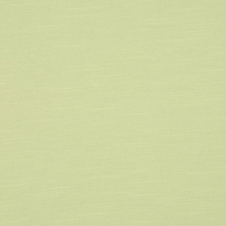 RM Coco HYBRID LIME - Eade's